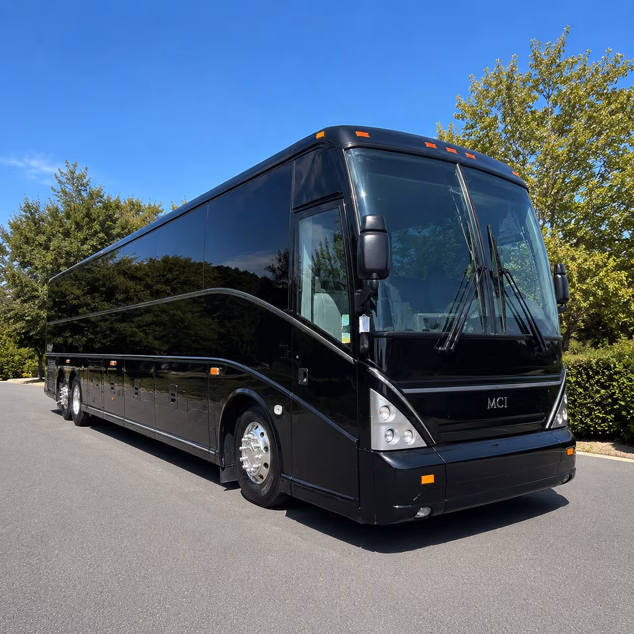 bachelor bachelorette and birthday party buses through gainesville